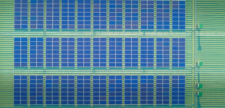 海洋環境監測：海洋沉積物質量標準檢測