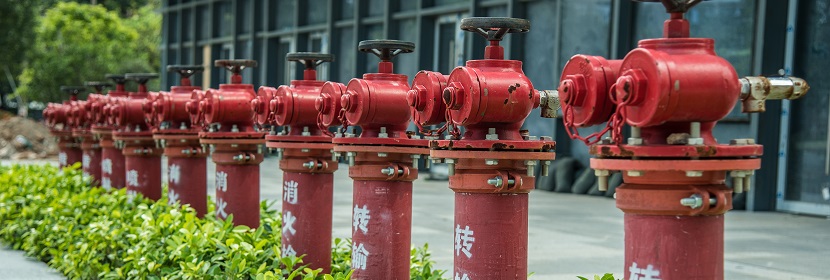 于化妝品功效評(píng)價(jià)的皮膚細(xì)胞類型介紹?《化妝品功效宣稱評(píng)價(jià)指導(dǎo)原則》起草說明