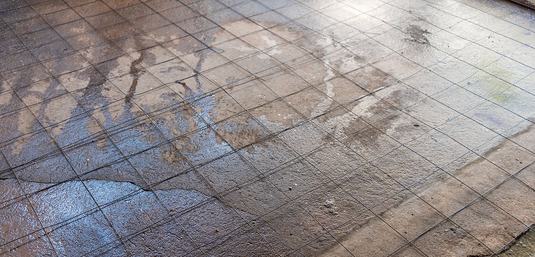 媒體報道多個電商平臺有售「造假消毒液」，用「甲醇冒充酒精」售賣，甲醇對人體的危害有多大 如何辨別 ?寵物醫院用什么消毒液? 健明迪檢測