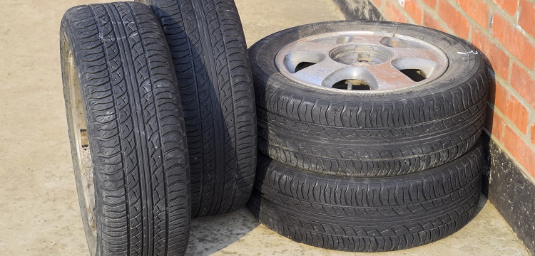 海洋調查規范：海洋生物調查工作如何進行 