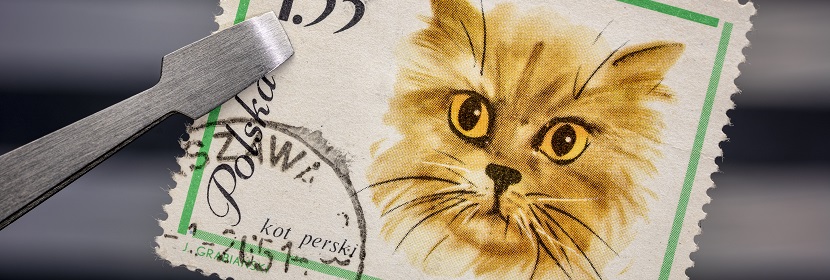 郵戳檢驗(yàn)器檢測