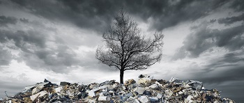 土壤污染隱患排查報(bào)告