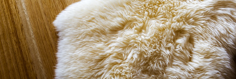 毛皮耐日曬色牢度試驗(yàn)