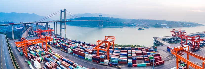 腸脹氣大鼠H-1細(xì)小病毒感染模型