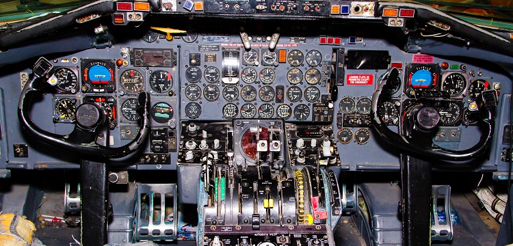 蒼術(shù)檢測(cè)