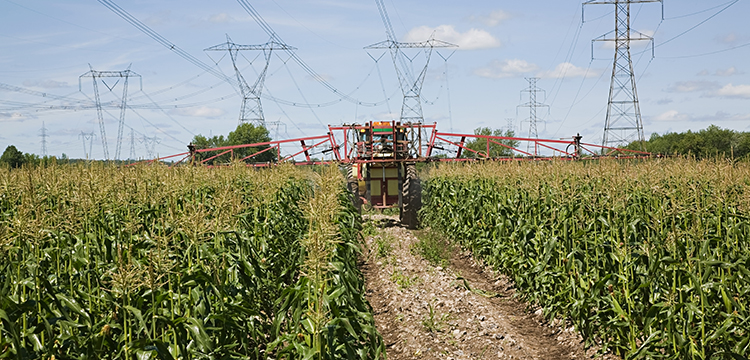 三羥甲基乙烷檢測(cè)