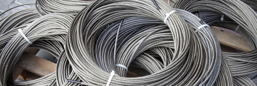 褐藻酸鈉檢測(cè)