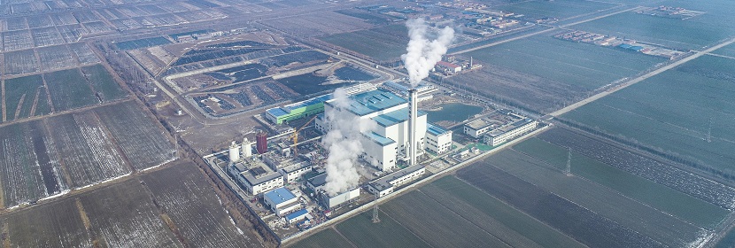 離子交換樹(shù)脂濕真密度