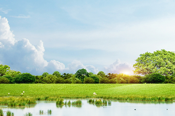 氯乙醇檢測(cè)