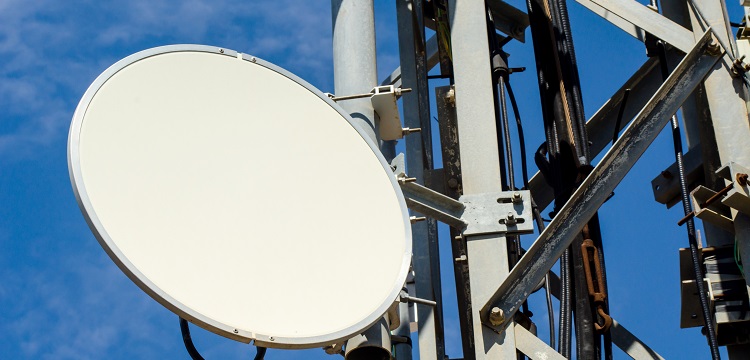 硼酸三甲酯檢測