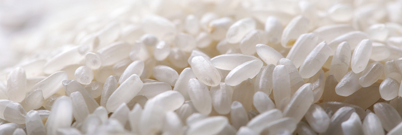 大米成分檢測,大米檢測機構(gòu),大米檢測中心