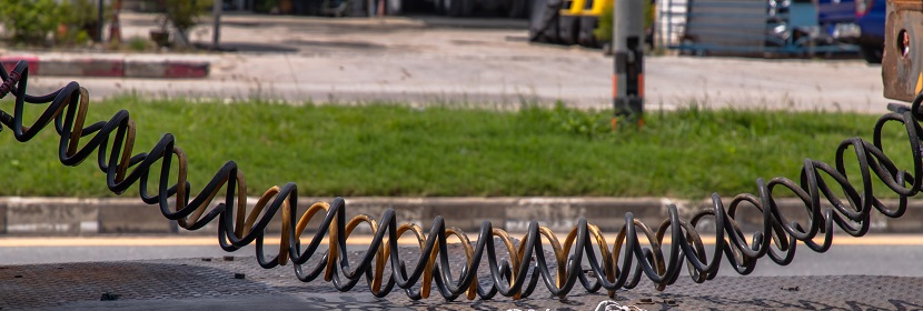 SARS-CoV-2感染轉基因小鼠模型