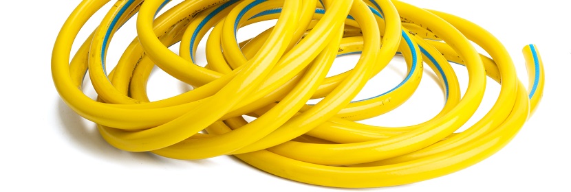 維甲酸誘導(dǎo)第一、二鰓弓綜合征大鼠模型