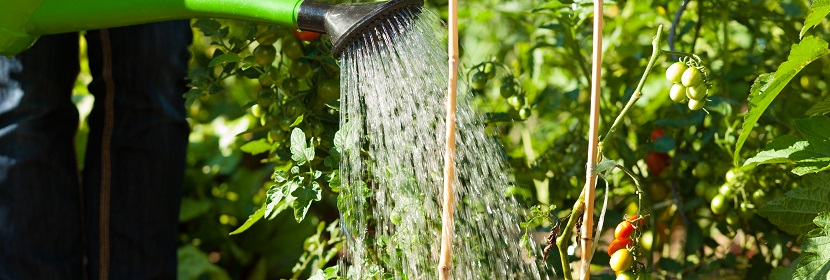 末梢水檢測(cè)