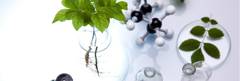 含海藻酸尿素檢測