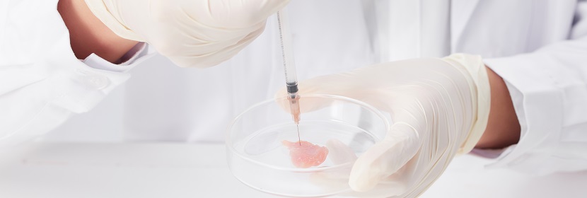 食品急性經口毒性試驗