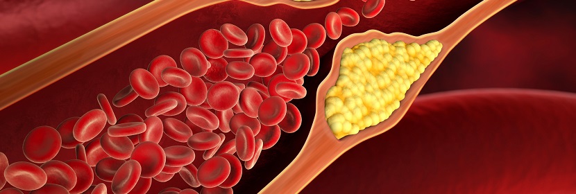 化妝品體內哺乳動物細胞微核試驗