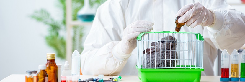 抗菌抑菌型洗滌劑急性皮膚刺激試驗