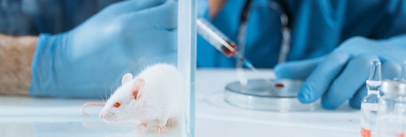 抗菌抑菌型洗滌劑陰道黏膜刺激試驗(yàn)