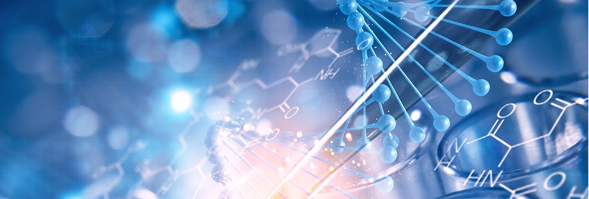 專用竹片炭檢測(cè)