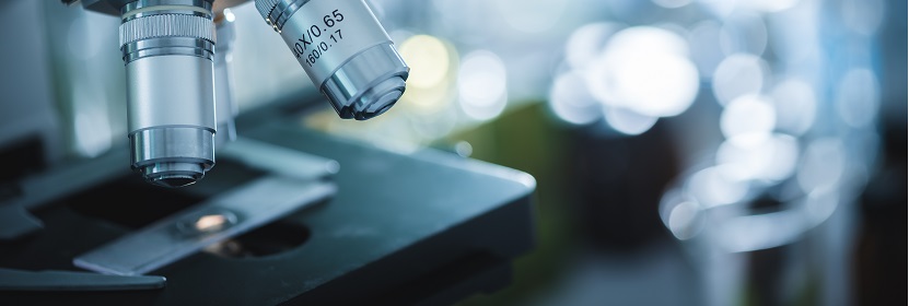 食品包裝用紙與塑料復(fù)合膜、袋檢測