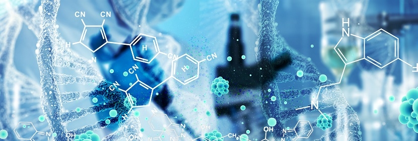 脫硫脫硝用煤質顆?；钚蕴繖z測